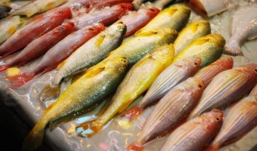 Mislabeling fish by substituting a cheaper fish for a more expensive fish is common with counterfeiting food.