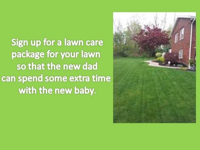 Give the new dad some extra time with the baby by signing up for a lawn care service.