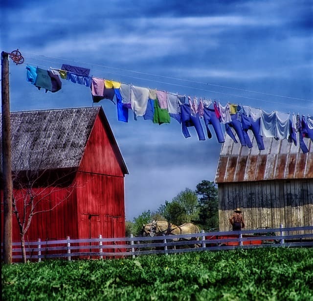 The Amish make and sell high quality quilts that appreciate in value, baked goods, jams and jellies, furniture, cabinets, wagons, and other products.