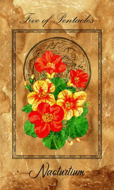 The Five of Pentacles indicates that your relationship to the material and spiritual is out of whack. You likely have a negative thought cycle that is contributing to this imbalance.