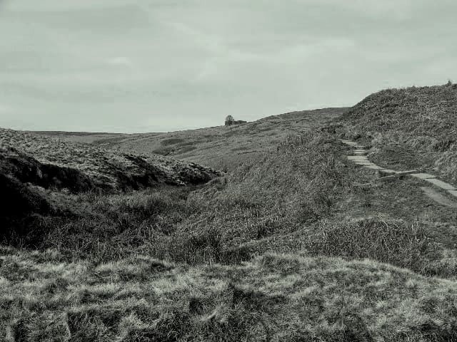 the-humor-in-chapter-two-of-wuthering-heights