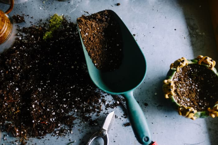 Using organic fertilizer throughout the growing season will result in healthier, stronger plants that have a better chance of withstanding extreme heat.