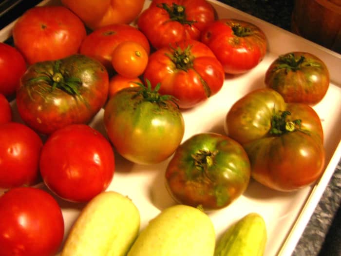 I bought these tomatoes at my local farmers market July 2, 2011 from a grower who does not spray with pesticides.