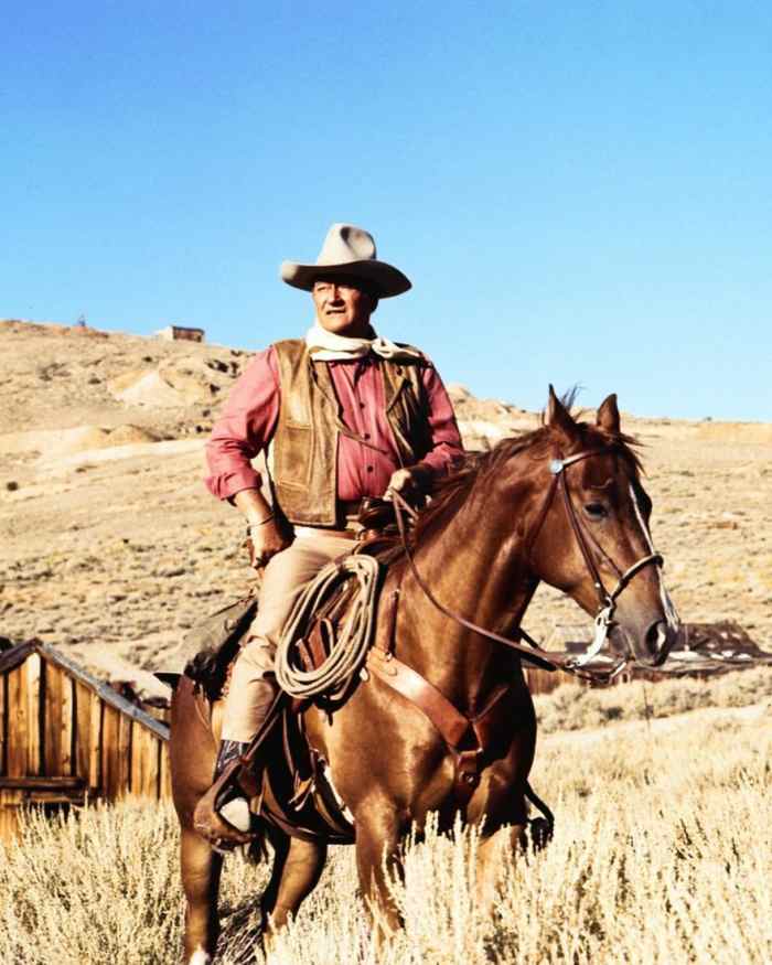 John Wayne in any of his Classic Westerns: "Rio Lobo", "Sons of Katie Elder", "El Dorado", "The War Wagon", "The Cowboys"...Etc. (picture found on: http://www.allposters.com/-sp/John-Wayne-Posters_i2621411_.htm)