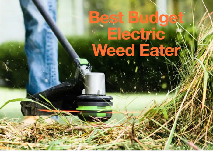 The Three Best Budget Electric Weed Eaters For Your Yard - Dengarden