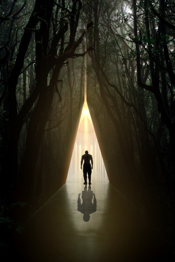 Representation of a soul at the doorway of death: Could it return to earth or take flight to the afterlife realm?