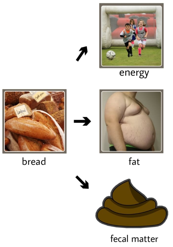 When food is digested in our body, it converts to new many substances. Like bread, when it digests, it converts to energy, fats, and fecal matter.