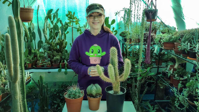 I hope you found these tips useful and may your cacti flower in the spring!