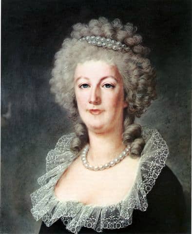 Marie Antoinette circa 1790. Her hair turned from blonde to white during the French Revolution.