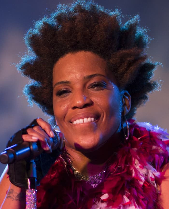 Famous African American Female Singers With Natural Hair Bellatory