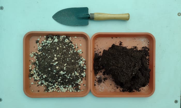 What's the difference? Comparing cacti and succulent soil to regular potting soil.