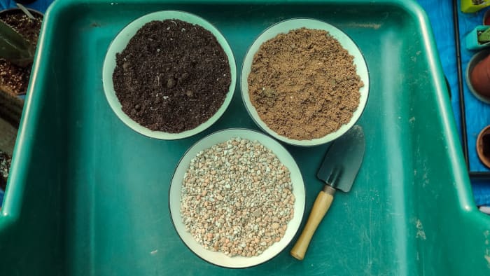 Use equal parts soil, grit, and horticultural sand to create the perfect cactus and succulent potting mix.