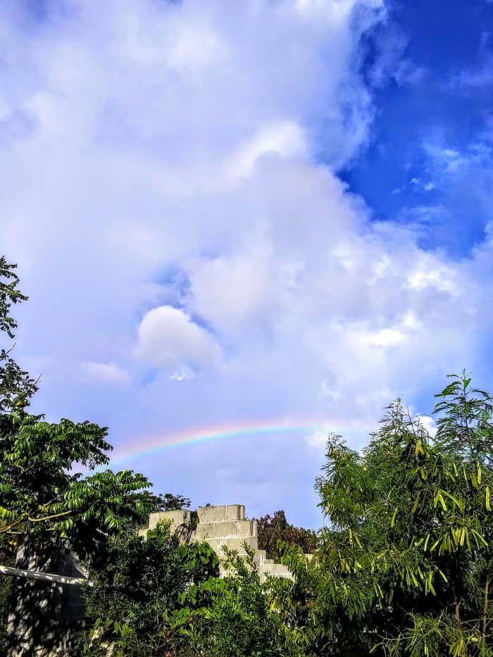 September 16, 2021@ 1:16pm on my birthday. Suprise. I was coming from the Market Grocery St. Croix, I got strawberries and cherries, as I pull up home drive way, gather my bags, there it was between the trees, lasted 5 seconds.. Smile, snap capture.