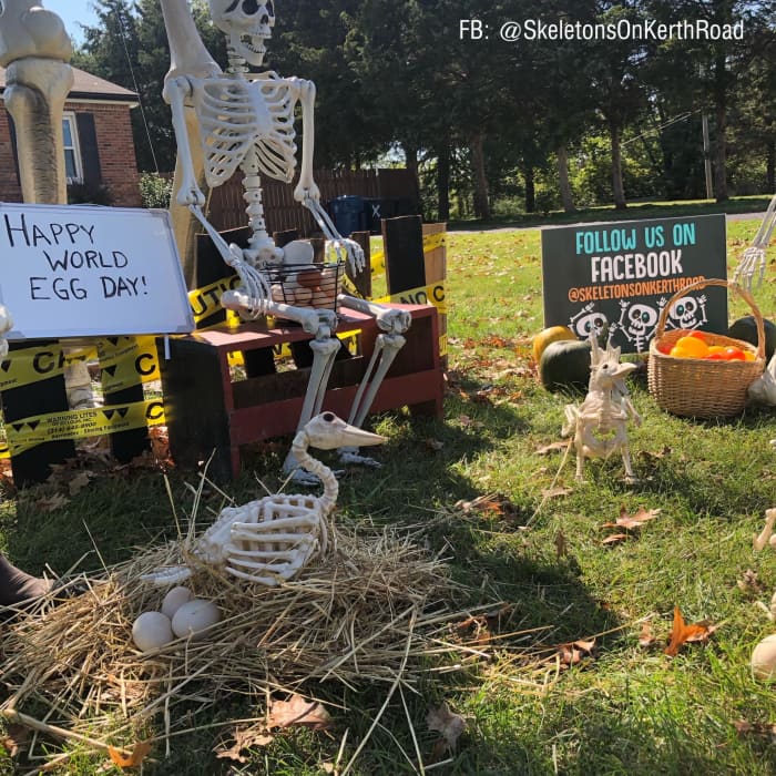 These bony chickens and geese have literally worked their tails off - congratulations on World Egg Day!