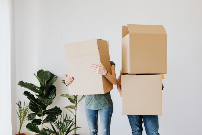 Put the books in boxes or bags that are manageable to carry. Photo by Karolina Grabowska from Pexels