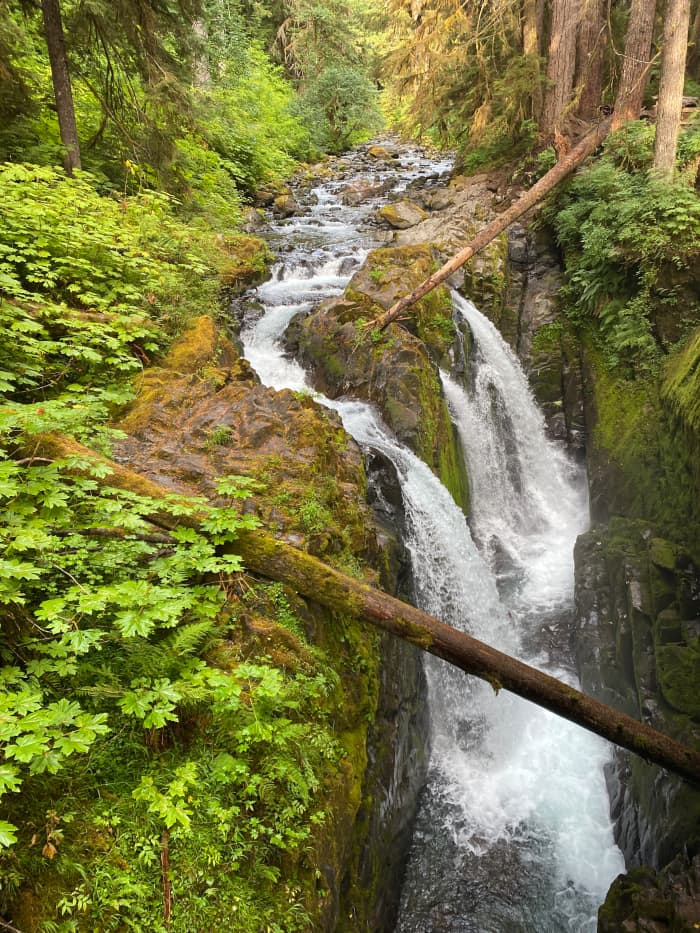 My Summertime Destination: Sol Duc Falls At The Olympic National Park 