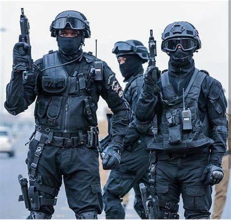 "I wonder if the U.S. went under Martial Law...if we'd get back to being "Free"!