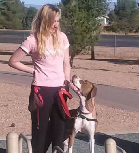 Teaching your dog to make eye contact with you as other dogs walk by your dog's perceived territory can be extra helpful.