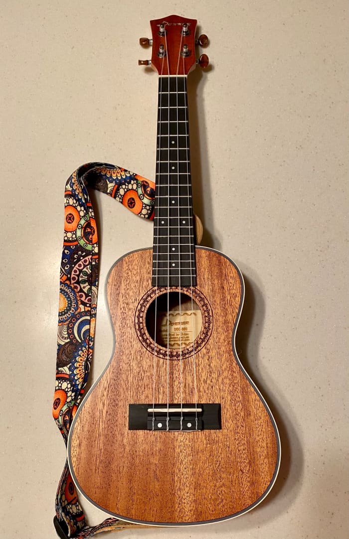 Review of Donner Concert Ukulele Spinditty