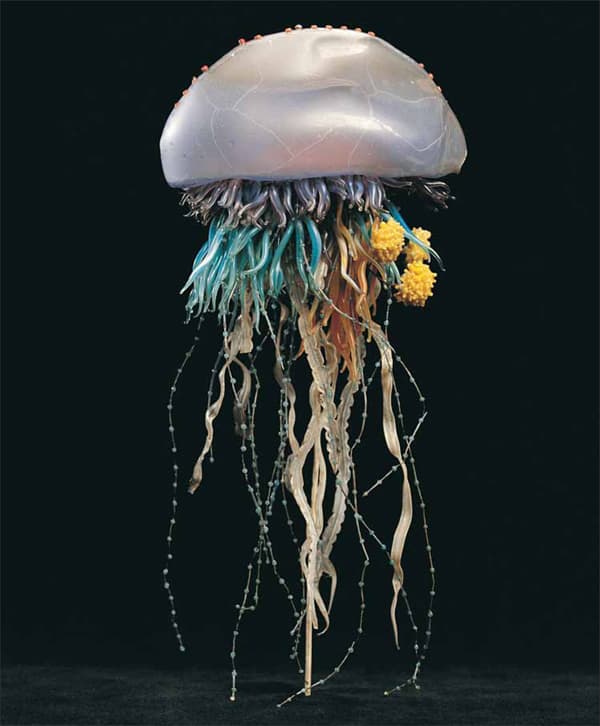 Glass Model of Physalia Arethusa