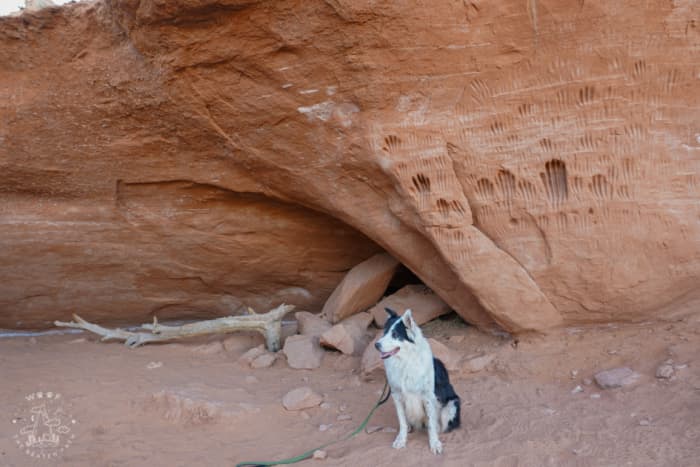 Mysterious hand shaped etchings in "Indian Cave" at Kodachrome Basin State Park.
