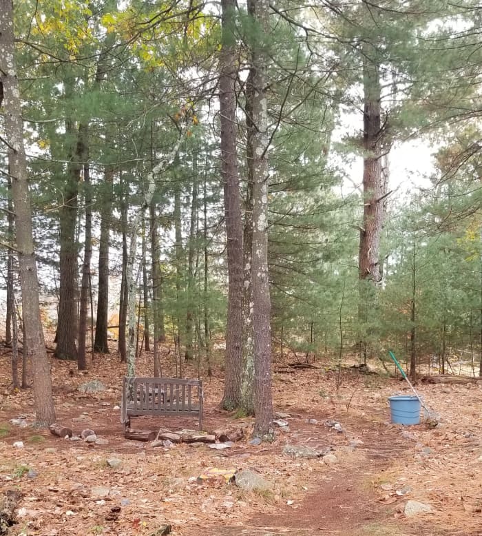 Raking the labyrinth path in my co-housing community every Autumn reminds me of how much I've always loved raking leaves each October since I was a child.