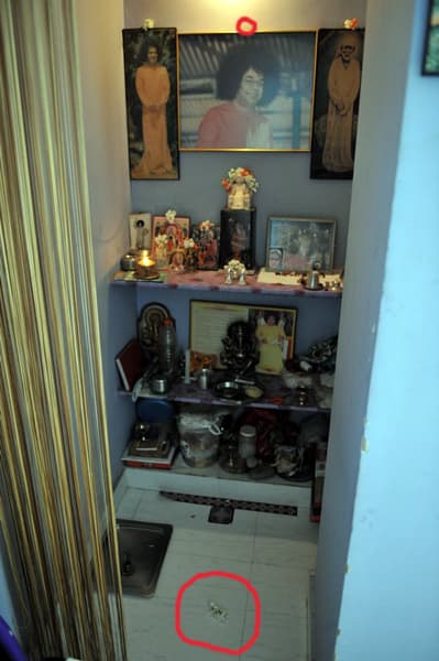 The place where the flower originally was and where it has fallen to are both marked in red. The breakfast plate for Swami is in the second tier.