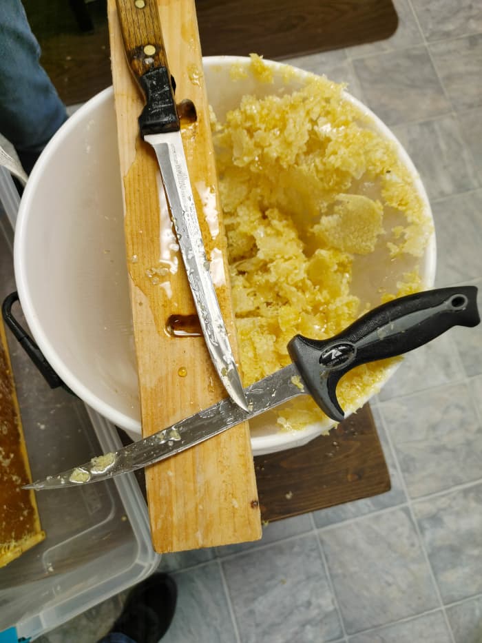 My latest batch of wax came from our beehives when we robbed honey. We set one frame at a time on a board across the bucket. We used fillet knives to decap the honeycomb, and the caps fell inside the bucket.