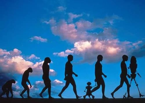 The debate on teaching evolution and creationism in schools is a hot topic for both religious and non-religious.