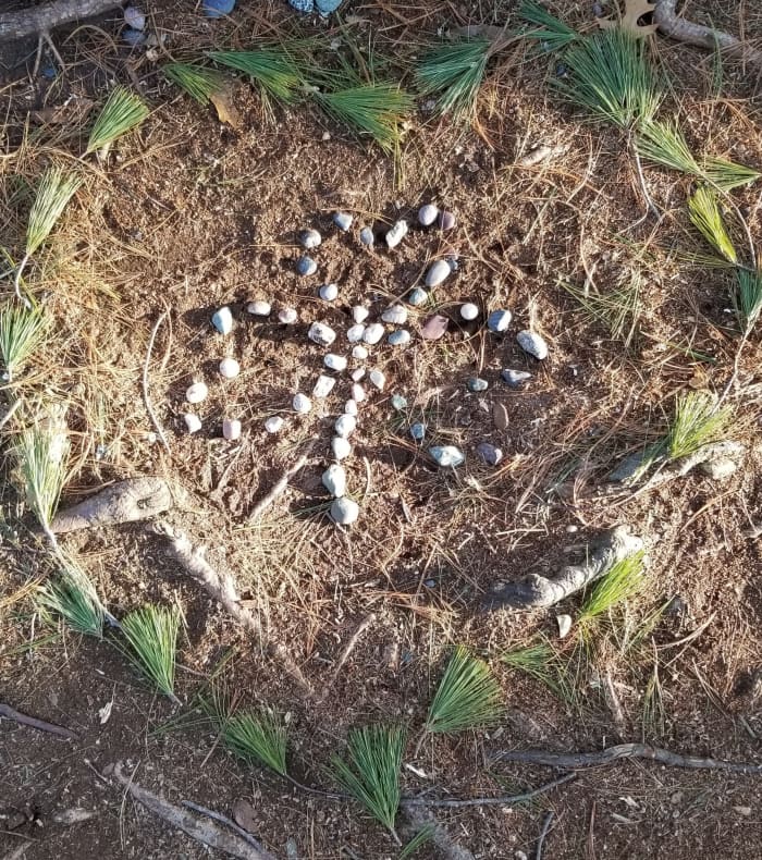 In the Spring I created this shamrock with pebbles and surrounded it with pine boughs on St. Patrick's Day. I created it as a blessing for my neighbors.
