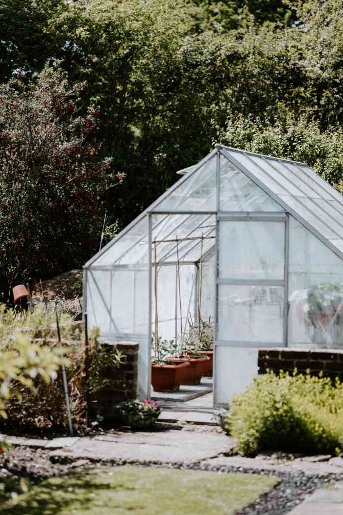 3 Winter Greenhouse Watering Tips for Healthy Plants Dengarden