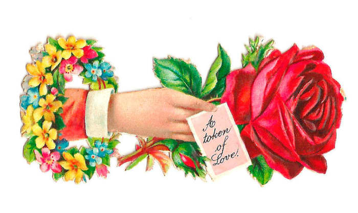 A single red rose is a lovely way to say "I love you" on Valentines Day. Combine it with ferns or babys breath to say it with more emphasis!