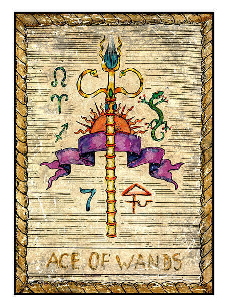 Now is the time to rise. The Ace of Wands is on your side. Take the four-leaf clover and go. With luck comes creation. With luck comes destiny. With luck comes everything.