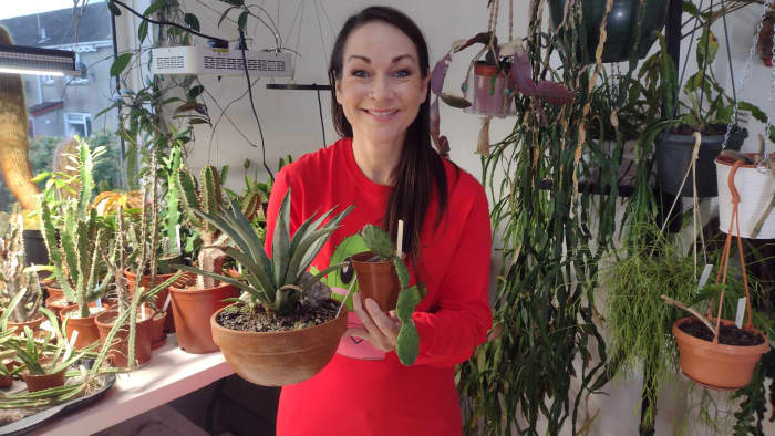 Here's are six ways to tell if it's time to repot your plants.