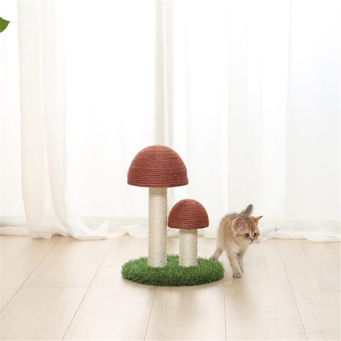 Found this scratching post on Amazon and Etsy - Amazon was less costly