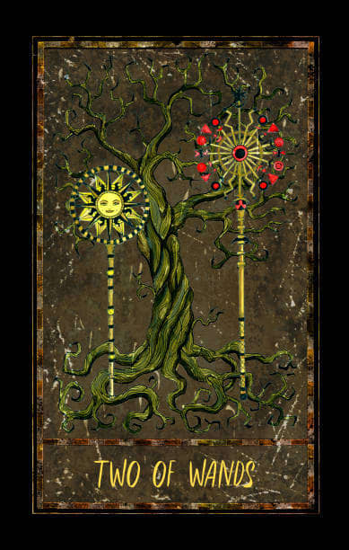 The Two of Wands indicates a crossroad. You need to make a decision about your future. Go toward the path that makes you feel passionate.