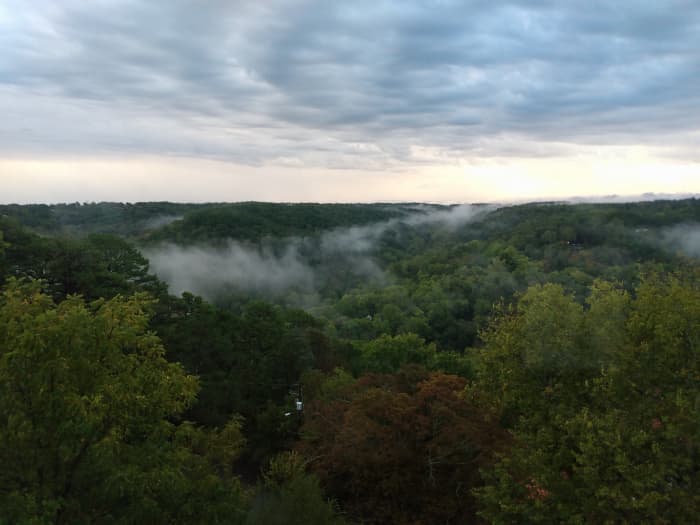 View from Our Room: Morning Mist Settling in the Valley and Hollows over Eureka Springs, Arkansas