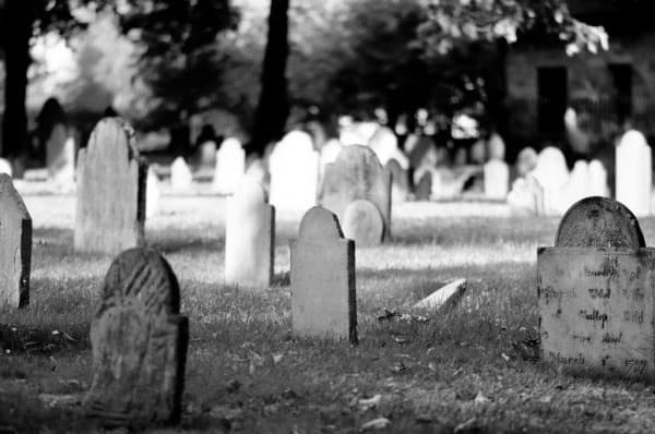 " I am able to help preserve the family's memories of their family member without traumatizing them with the way the deceased looks."