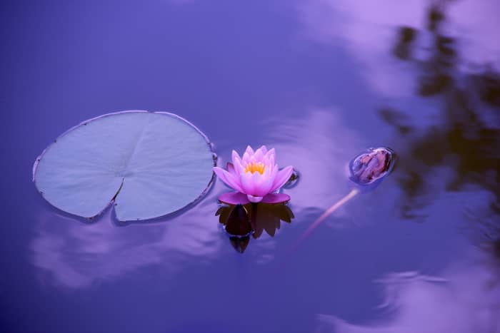 Sometimes we may perceive the truth more accurately through intuition than by intellectual reasoning.