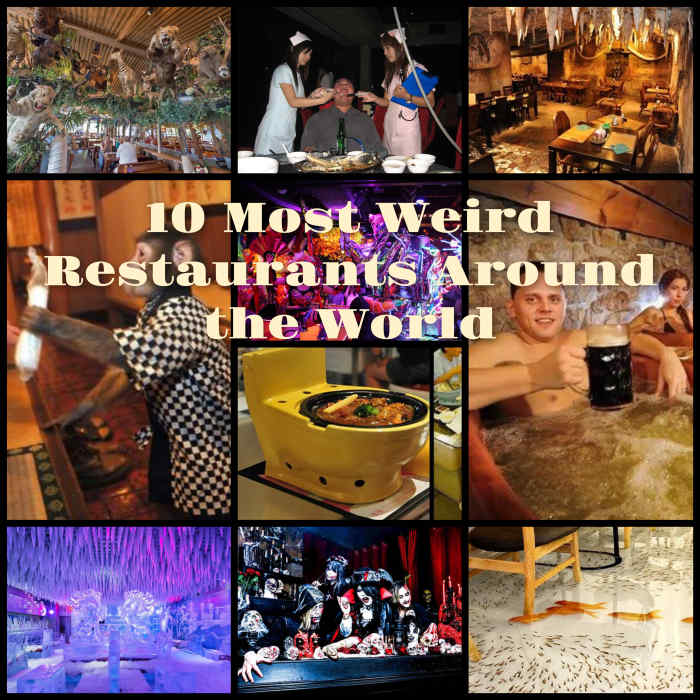 The 10 Most Weird Restaurants Around the World HubPages
