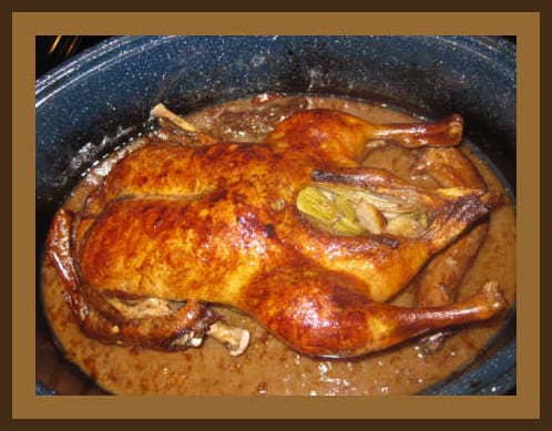 One of Archimedes' relatives, in our roasting pan. I had to prove to her, that her "dearly beloved dad" really did eat duck!