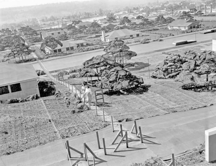 Camouflaging reached an entirely new level as completely fake residential neighbourhoods were created on the top of Boeing aircraft plants in which more than 30,000 men and women labored, constructing 300 bombers per month.