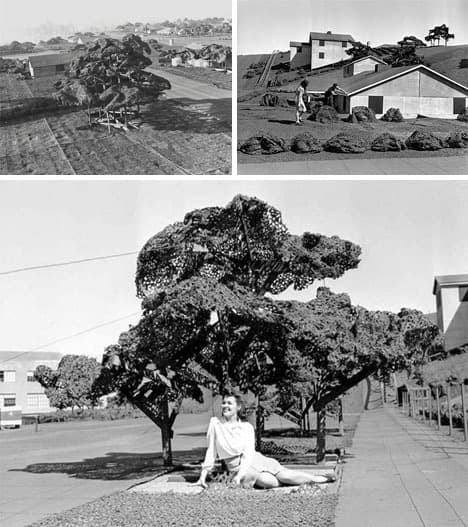 Following the attack on the Pearl Harbour, the US military built entire fake towns along the West Coast to hide its airplane factories from Japanese bombers.