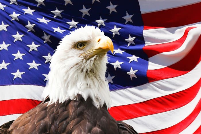 Patriotism is fine, as long as it is not generated by national narcissism