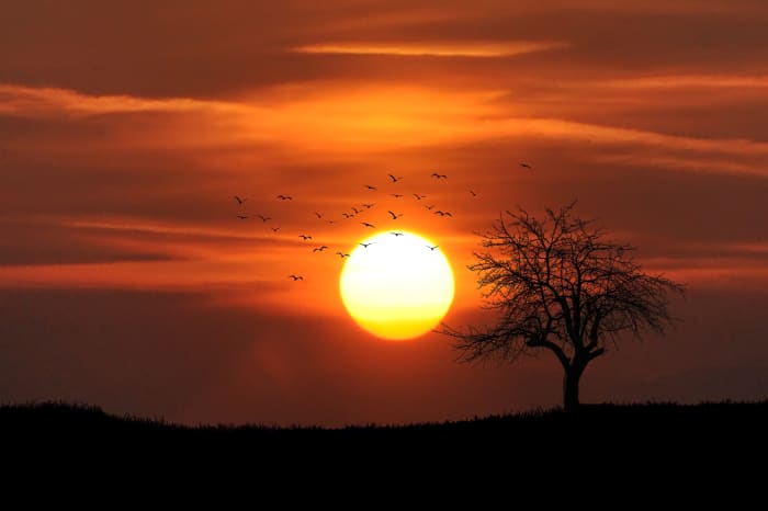 If you want to cultivate more gratitude in your life this year, my advice is to start small. Pause once a day to notice something beautiful.