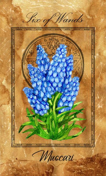 The Six of Wands is about searching for happy times. You want positive attention. You want to put yourself out there and achieve good results. Be around people who love you and want you to prosper.