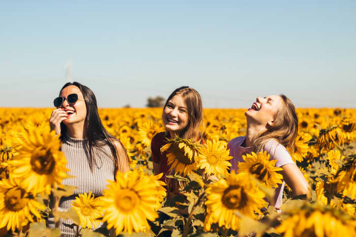 Are you ready to break out of your shell and make new friends? Check out these tips for being more sociable!