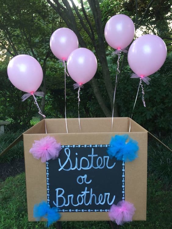 100+ Gender Reveal Baby Shower Ideas and Decorations HubPages