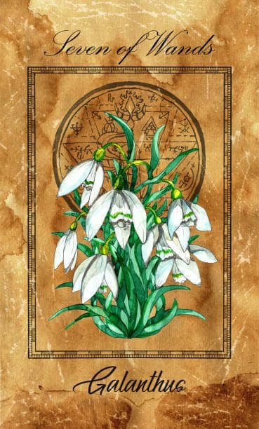 Six wands stand against you. You have to prove yourself to your enemies. It's not going to be easy. This trying time will get the worst of you. You'll have to fight when your energy is low. There is a good chance you'll run into your breaking point.