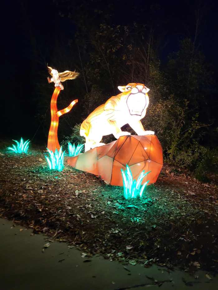 Oklahoma Zoo Safari Lights HubPages